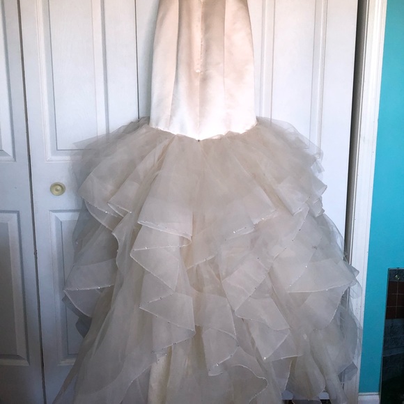 Champagne Evening Gown - Picture 5 of 8